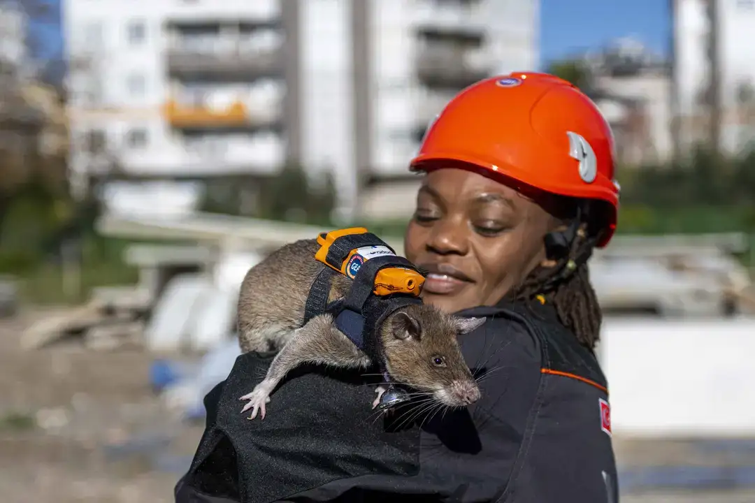Sırt Çantalı Fareler Antalya'da Görevde! 3